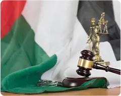 Consultation for Expatriates in Dubai Consultation for Expatriates in Dubai